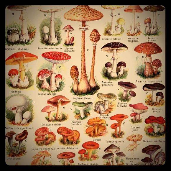 ( ͡o ͜ʖ ͡o) - Picture 1 of 1